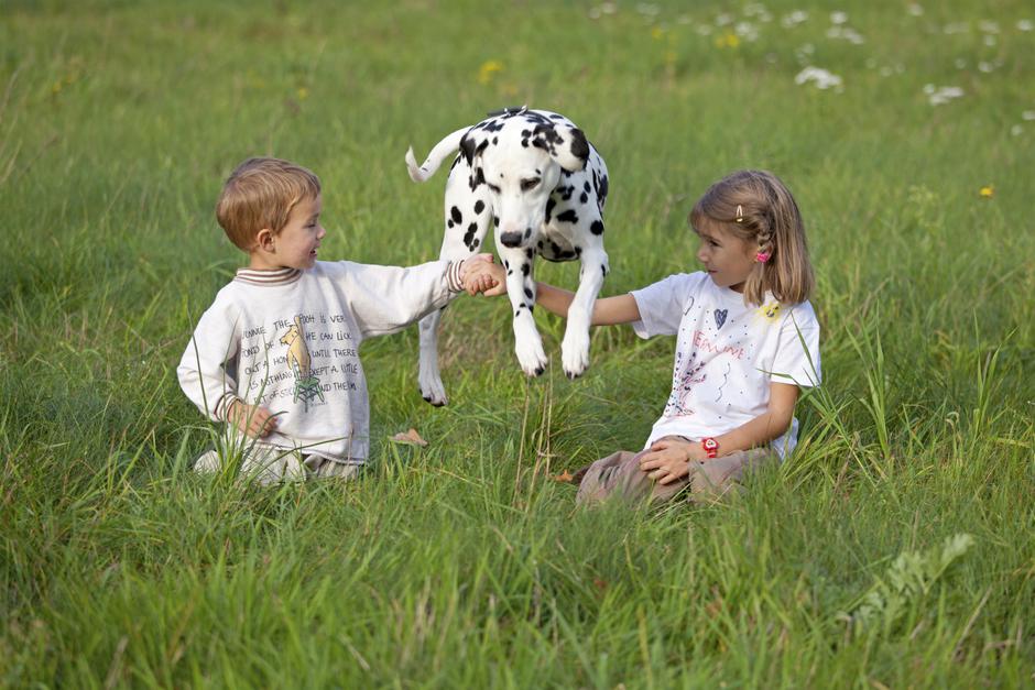 Pes skače z otrokom zunaj | Avtor: Profimedia