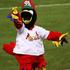 Fredbird (St. Louis Cardinals)