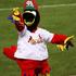 Fredbird (St. Louis Cardinals)