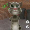 Talking Tom 