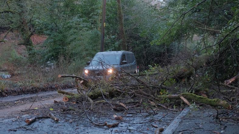 nevihta Goretti podrta drevesa Velika Britanija