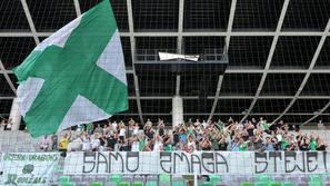 Olimpija Ljubljana trening v Stožicah green dragons navijači