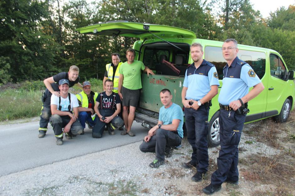 kenguru | Avtor: Policija