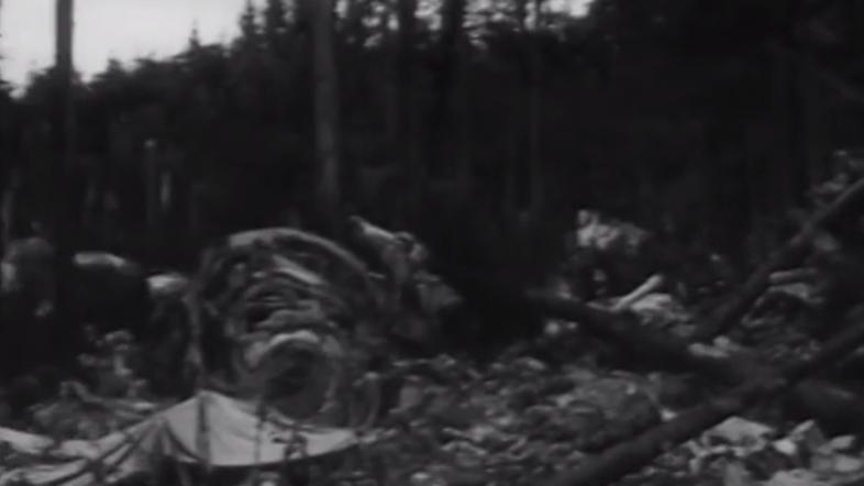 Strmoglavljenje letala1966