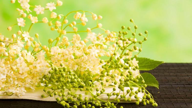 Bezeg nabirajte v sončnem vremenu. (Foto: Shutterstock)