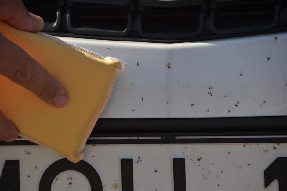 Pranje avtomobila | Avtor: Gregor Prebil