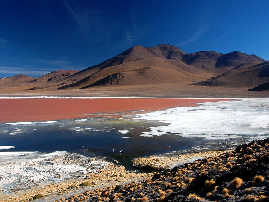 Laguna Colorada, Bolivija