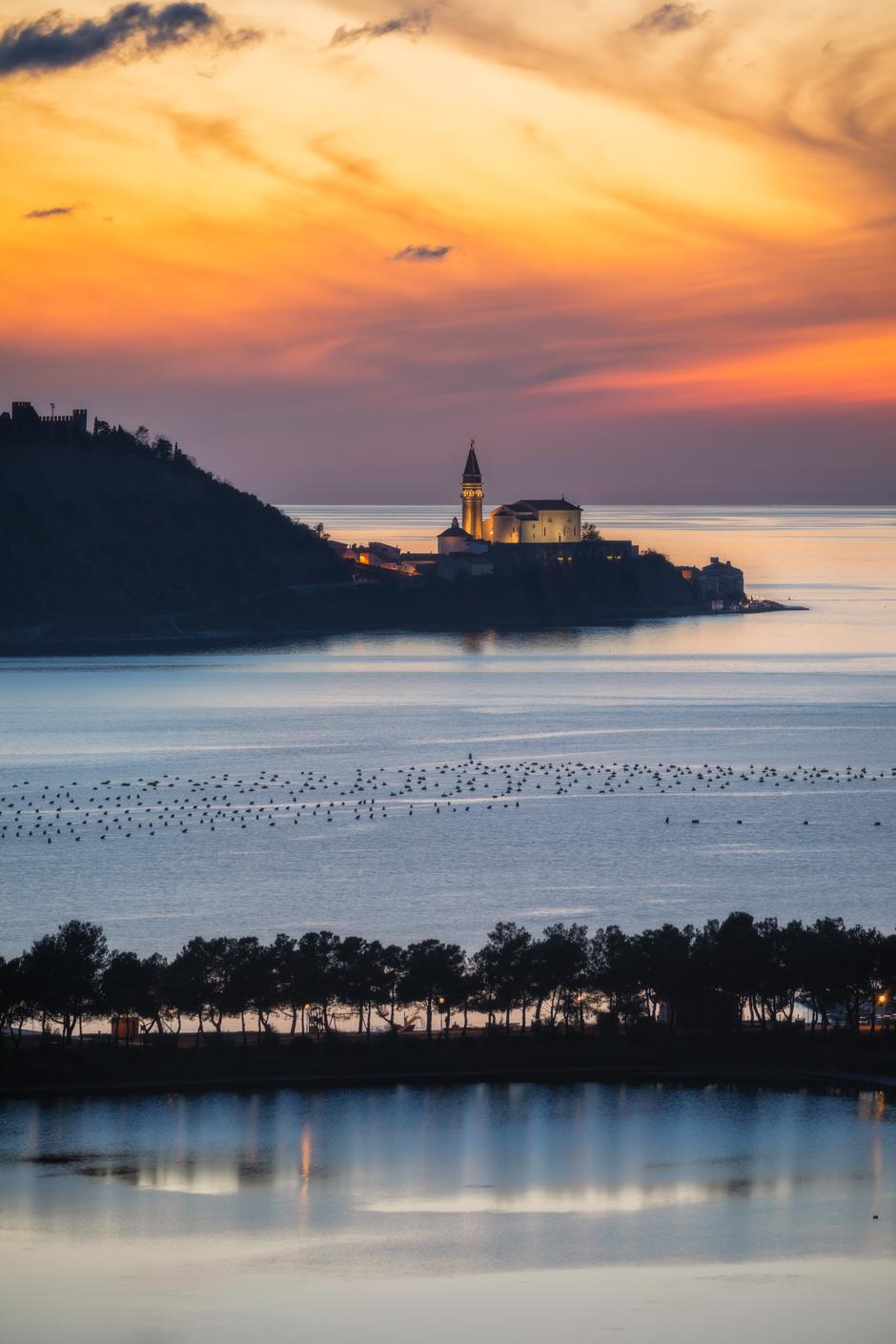 LifeClass | Avtor: Jaka Ivančič Last: Turistično združenje Portorož