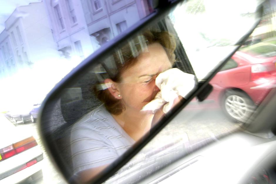 Alergija in vožnja kihanje prehlad | Avtor: Profimedia