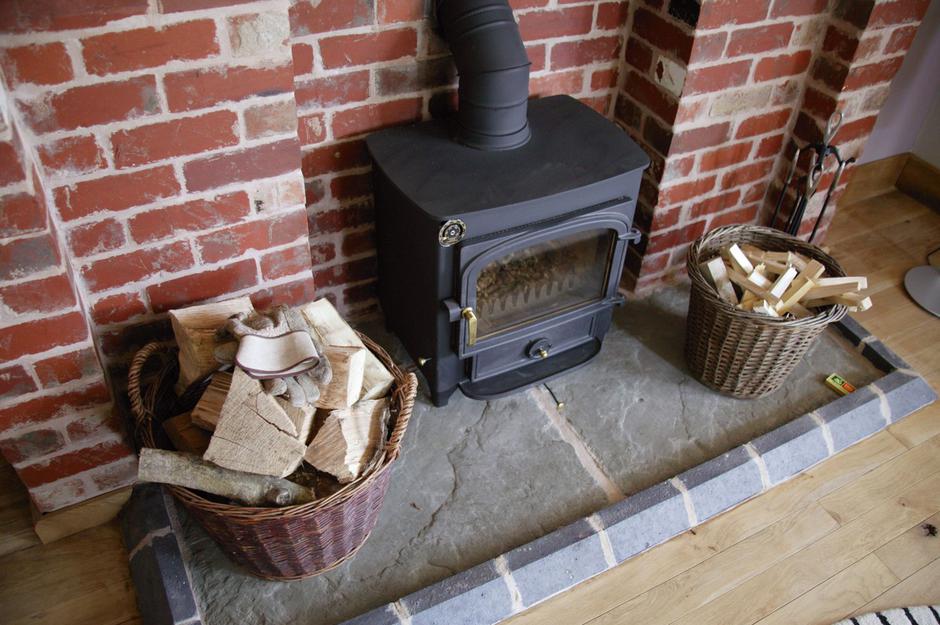 Lesna biomasa | Avtor: Profimedia