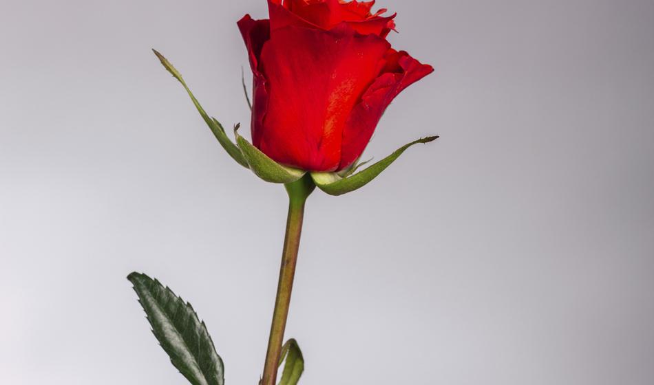 Šok: To se v Sanjskem moškem še ni zgodilo