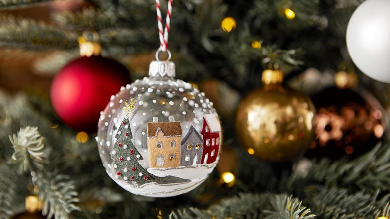 merkur, okrasek, božična jelka