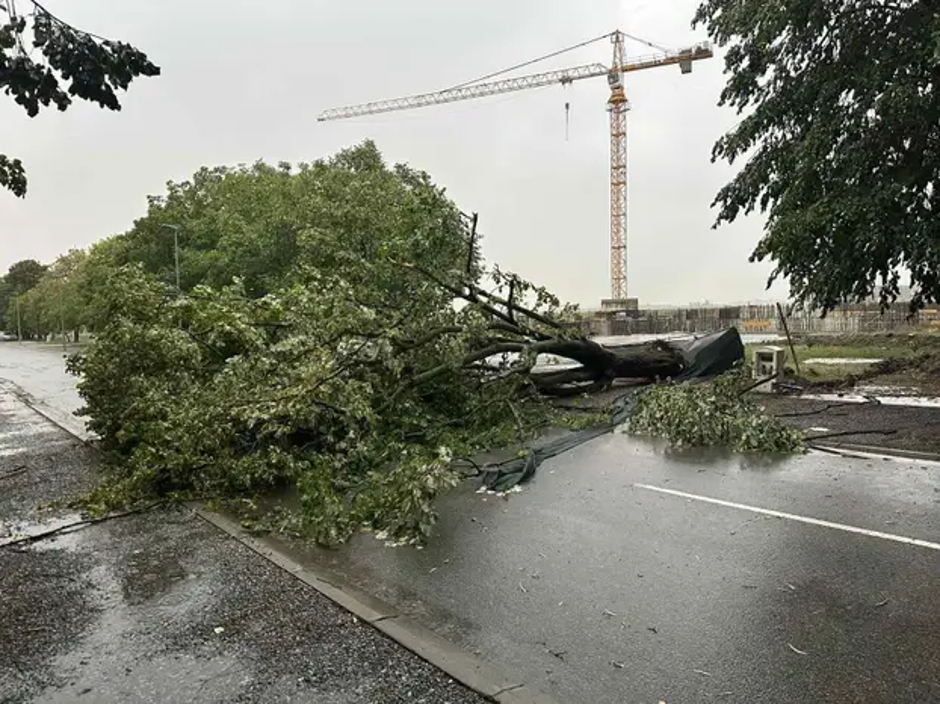 posledice neurja | Avtor: 24sata