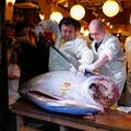 Dražba modroplavutega tuna