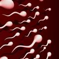 Redna menstruacija je nujna za naravno metodo kontracepcije.  (Foto:Shutterstock