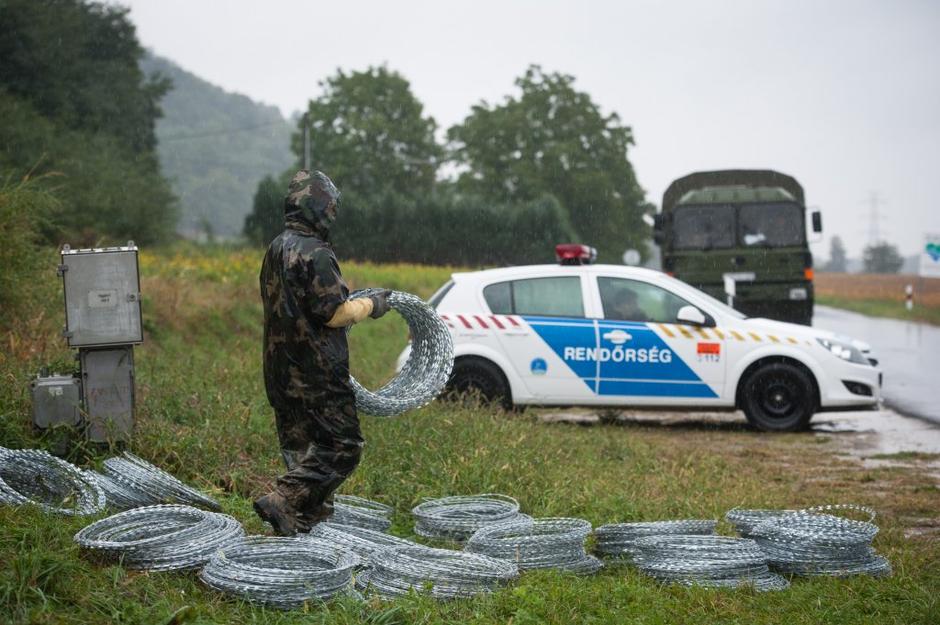 Pince | Avtor: Anže Petkovšek