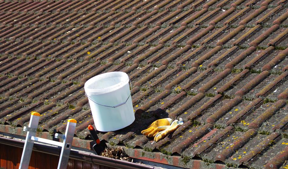 "Pustil sem delo v pisarni in sedaj zaslužim 13.000 € mesečno"