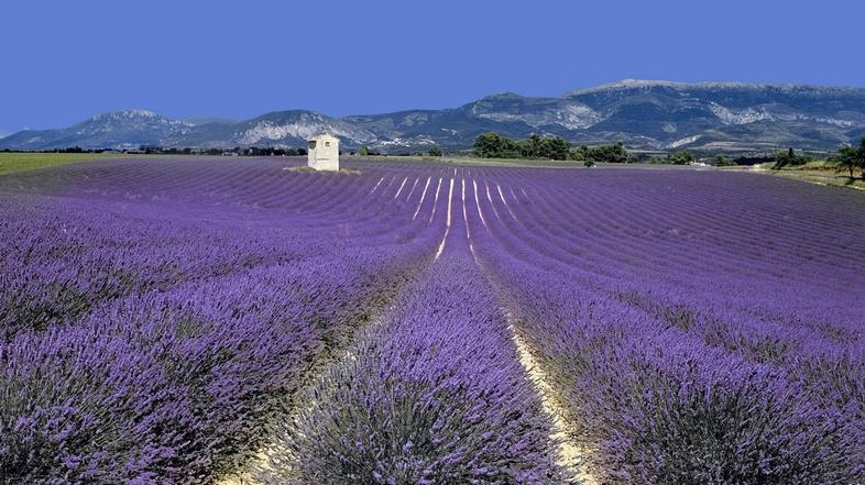 Maja se bodo temperature na Azurni obali in v Provansi povzpele že krepko nad 20