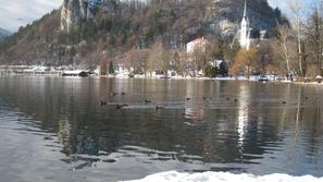 Jezero je po zakonu o vodah v lasti države, z njim pa upravlja okoljsko ministrs