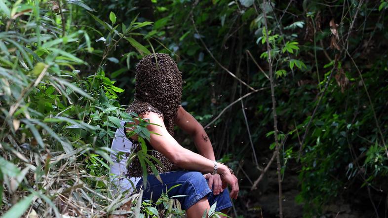 Nhat z divjimi čebelami