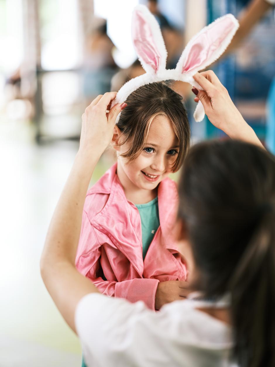 Falkensteiner | Avtor: Falkensteiner