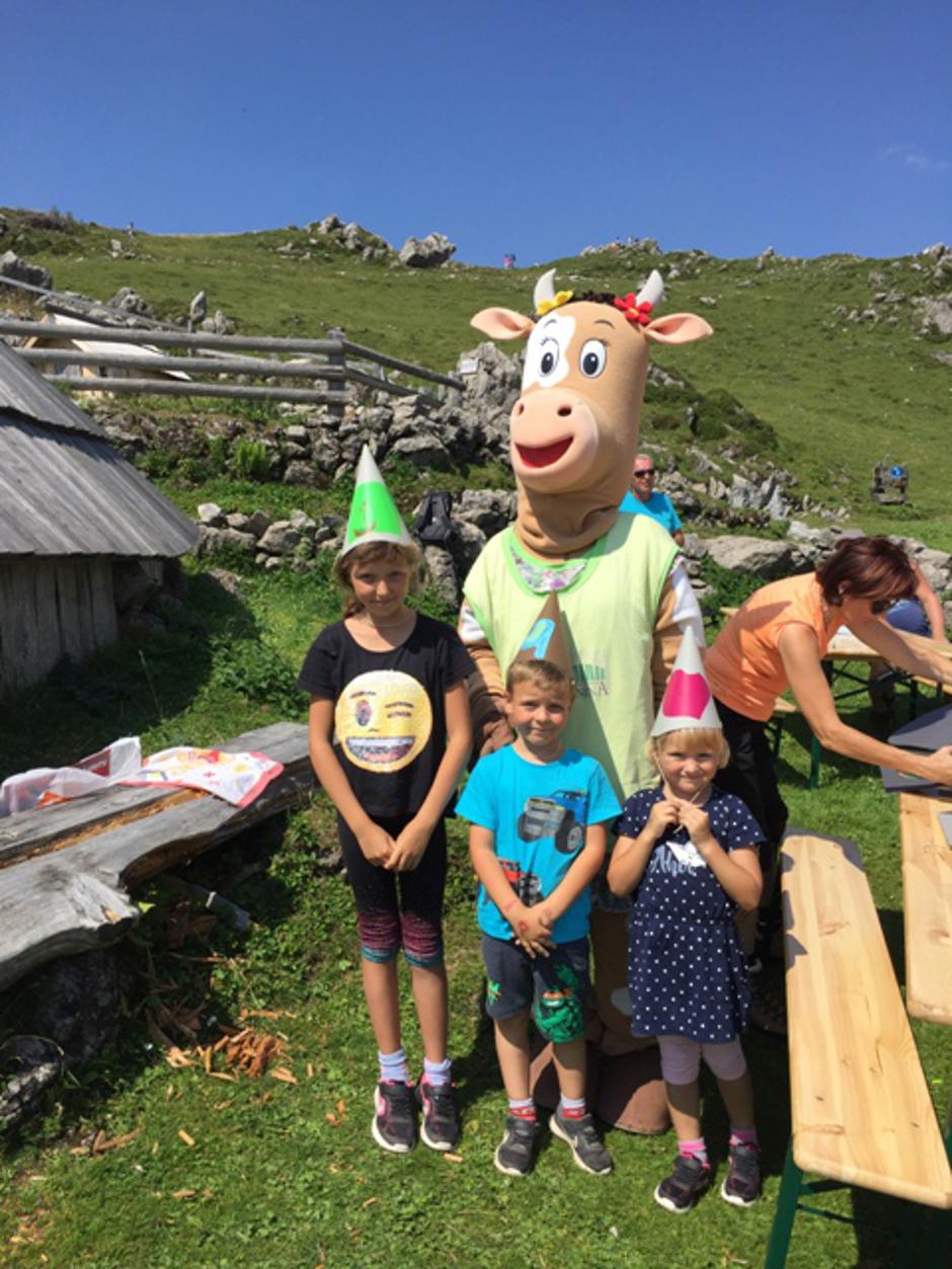 Velika planina | Avtor: strokovnjakinja za psihološko zdravljenje motenj spanja dr. Vita Štukovnik