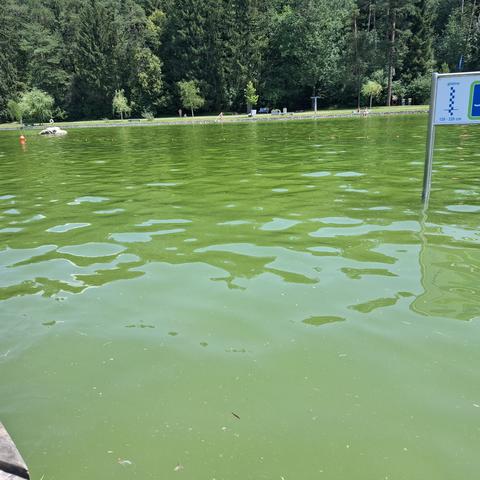 Šobčev bajer