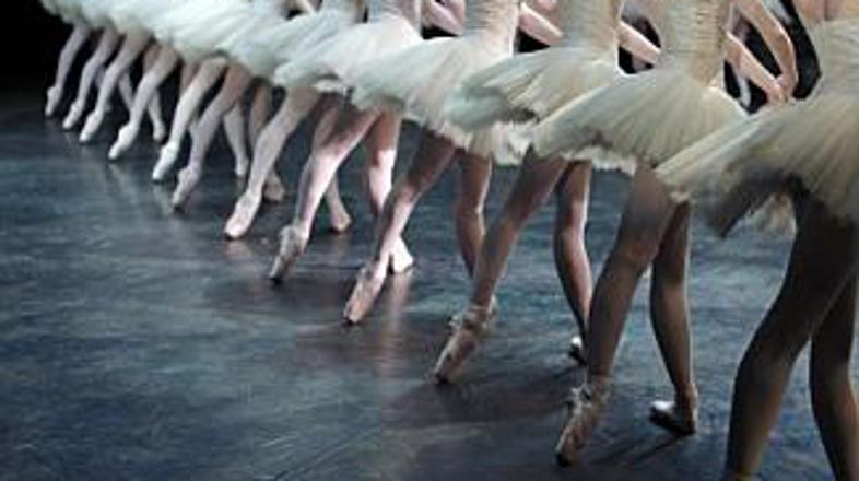 Je razlog za premalo labodov premalo denarja?