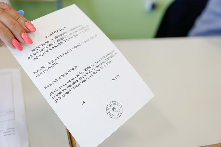 referendum o uveljavitvi zakona o dodatku k pokojnini za izjemne dosežke na področju umetnosti | Avtor: Saša Despot