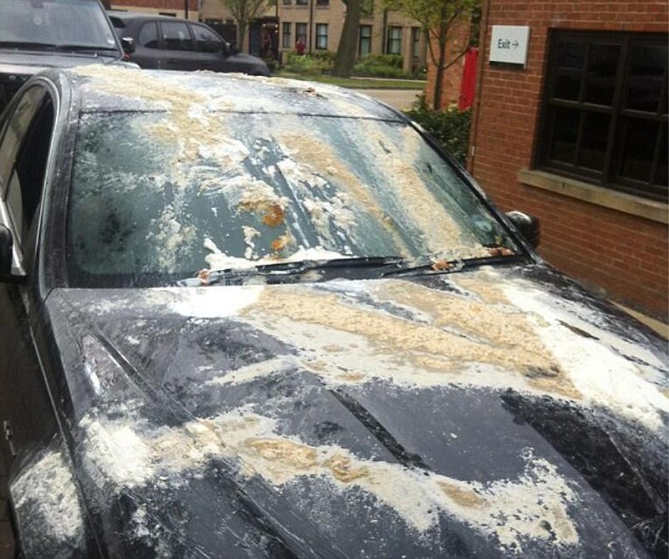 Michael Owen avto jajca moka Stoke City šala | Avtor: Reševalni pas/Twitter