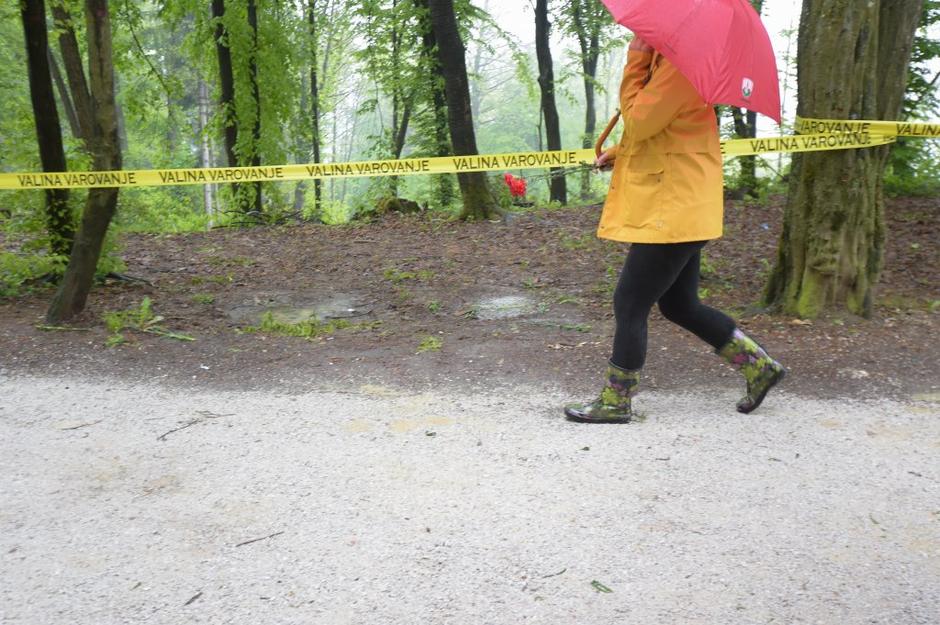 praznik dela | Avtor: Anže Petkovšek