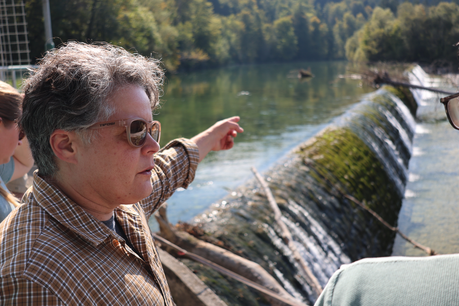 Cajhnov jez, reka Sava