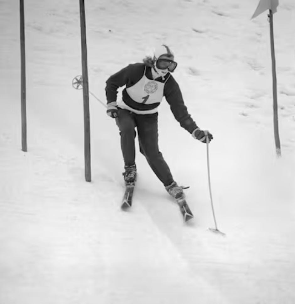 Colliard | Avtor: Reševalni pas/Twitter