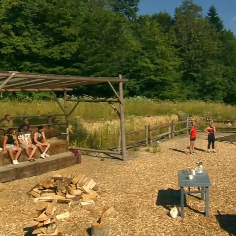 Ema Dragišić, kmetija