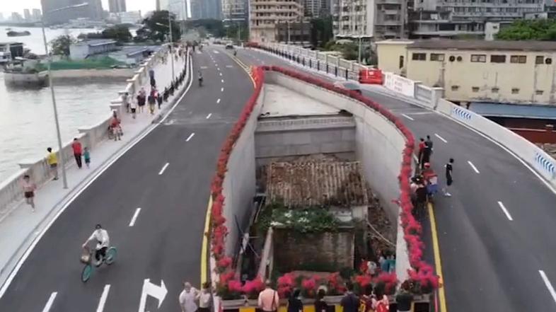 Hipa na štiripasovnici