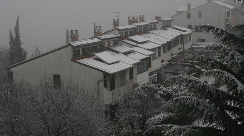 sneg, Primorska, januar