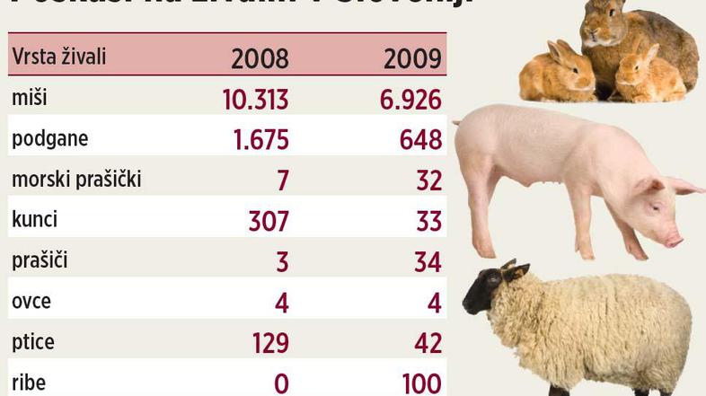 Časi, ko se o napakah v zdravstvu ni govorilo, so mimo, je zdravnike posvaril Ja