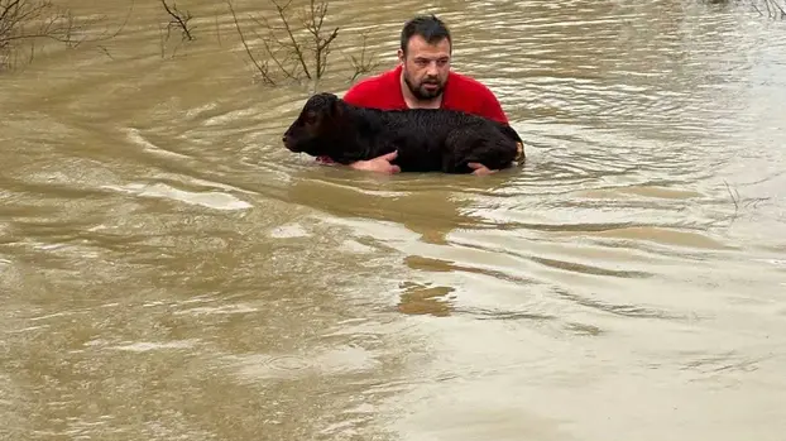 reševanje telička Roko Grcić