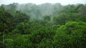 V zadnjem času so podnebne spremembe odvzele medijsko pozornost nezakonitemu sek