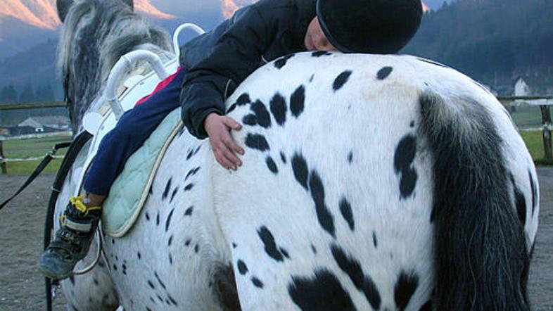 Na Rakitni bodo program zdravljenja motenj čustovanja in hranjenja s konji začel