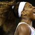 serena williams miami