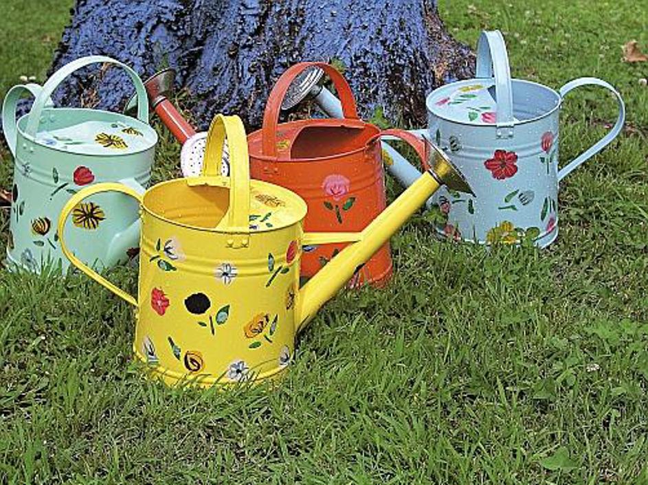 Kdo pravi, da morate rože zalivati s staro plastenko?