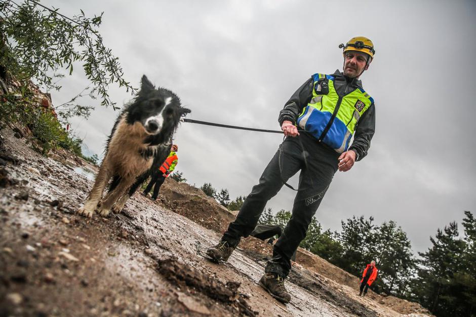 reševalni psi | Avtor: Saša Despot