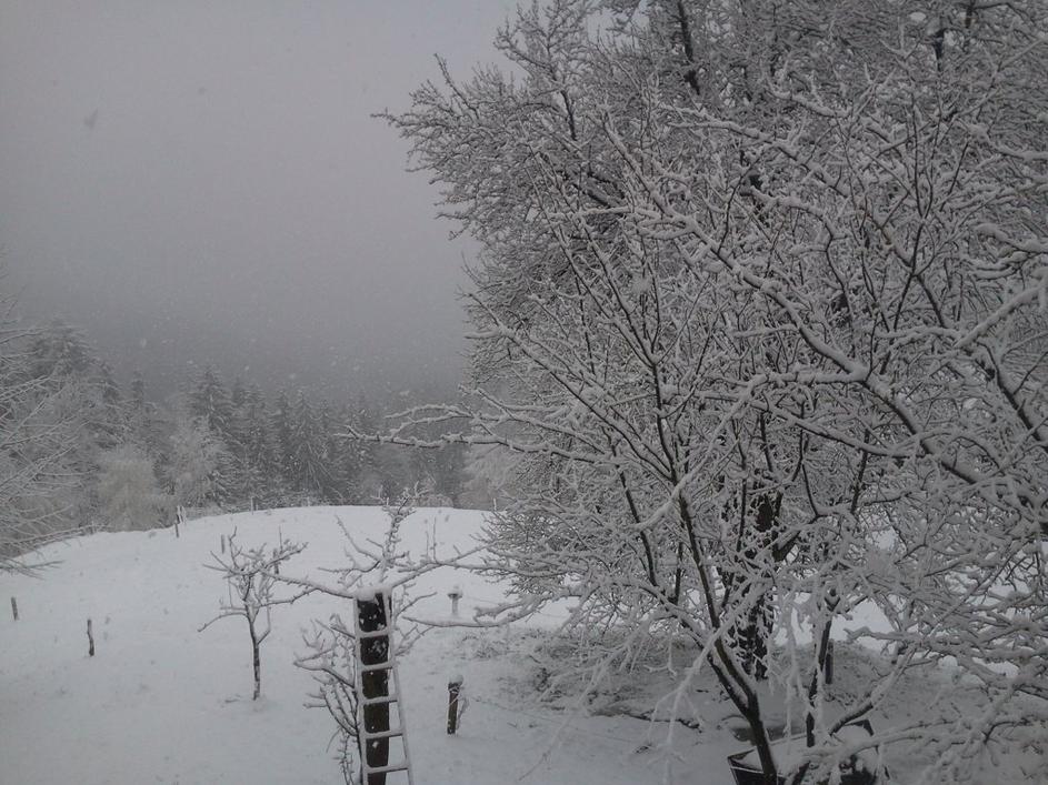 Sneženje v Zavrčah pri Mislinji