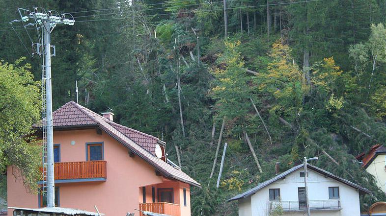 Močan veter je ponoči podiral drevesa in električne daljnovode.