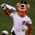 Paws (Detroit Tigers)