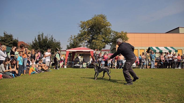 1. sejem za ljubitelje živali