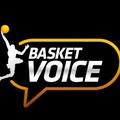 Logo BasketVoice
