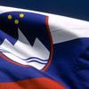 Slovenska zastava