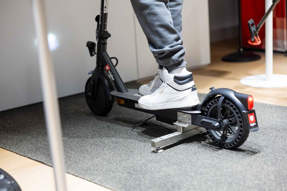 Zavarovalnica Triglav in Vid Zebra | Avtor: Zavarovalnica Triglav